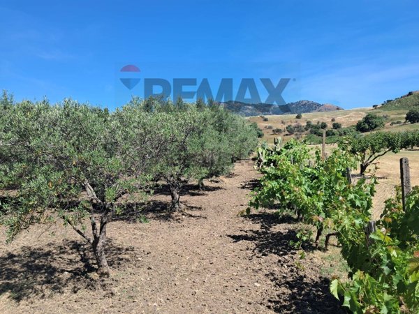 terreno agricolo in vendita a Savoca in zona Contura