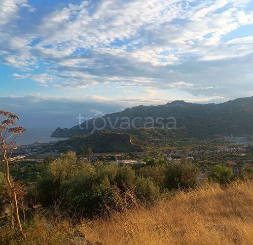 terreno agricolo in vendita a Savoca in zona Scorsonello / Cantidati