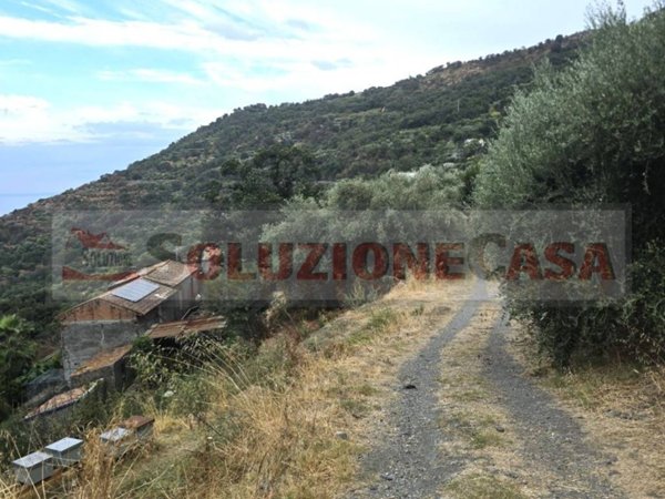 terreno agricolo in vendita a Savoca in zona Mancusa