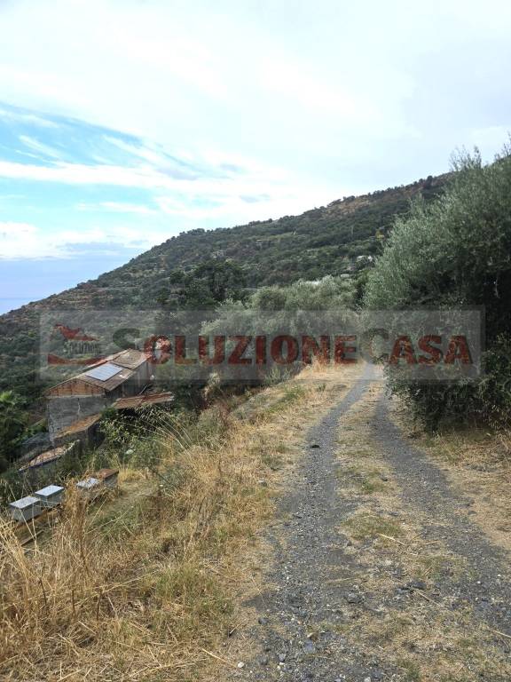 terreno agricolo in vendita a Savoca in zona Mancusa