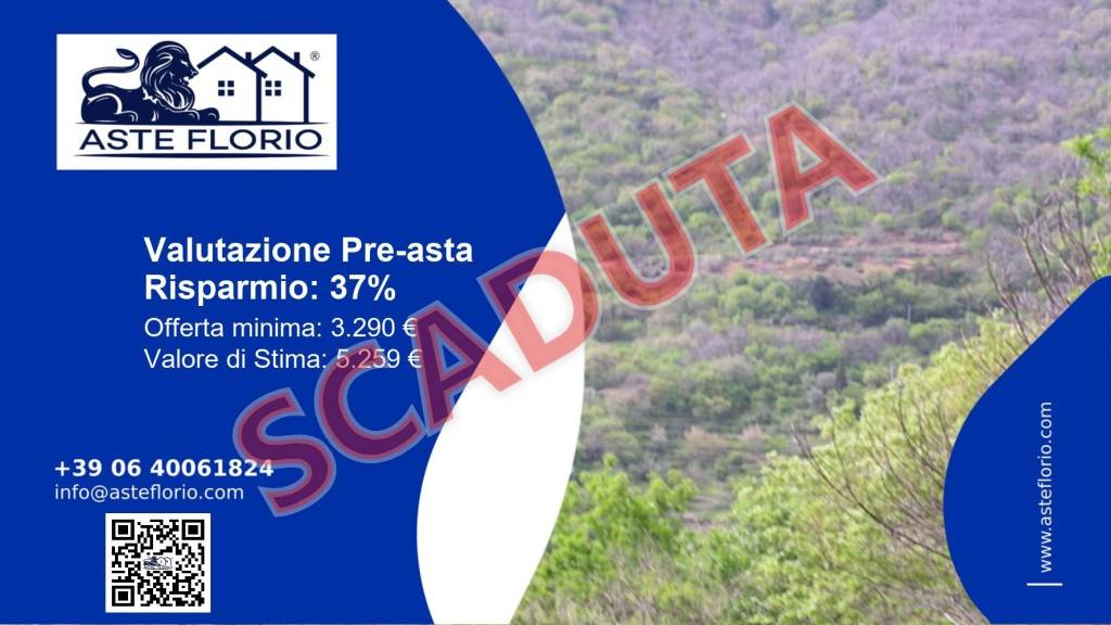 terreno agricolo in vendita a Scaletta Zanclea