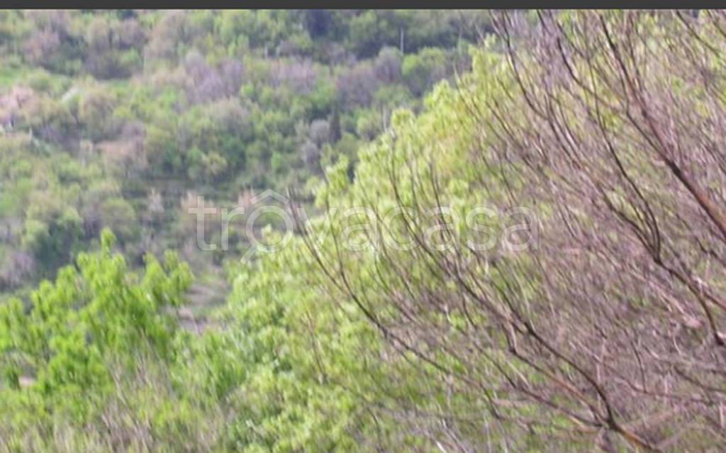 terreno agricolo in vendita a Scaletta Zanclea in zona Guidomandri Marina