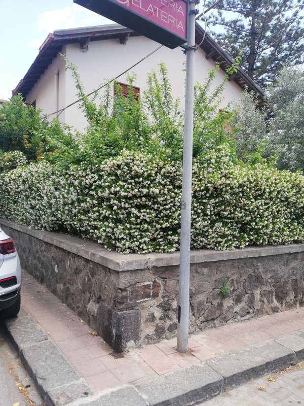 casa indipendente in vendita a Scaletta Zanclea