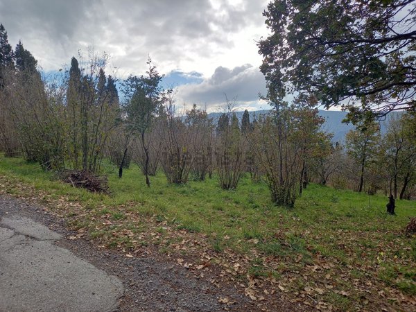 terreno agricolo in vendita a Sinagra
