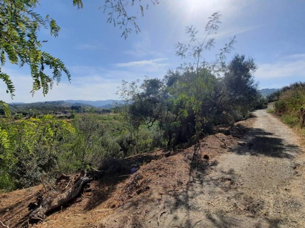terreno agricolo in vendita a Spadafora