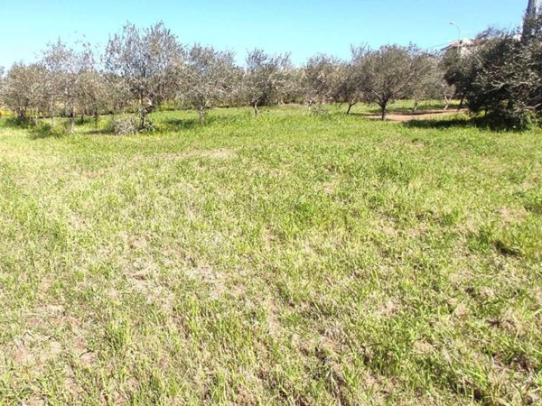 terreno agricolo in vendita a Spadafora