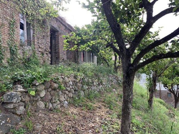 terreno agricolo in vendita a Spadafora in zona San Martino