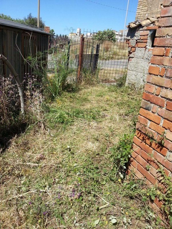 pentavano in vendita a Spadafora
