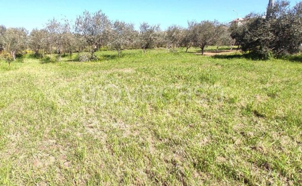 casa indipendente in vendita a Spadafora