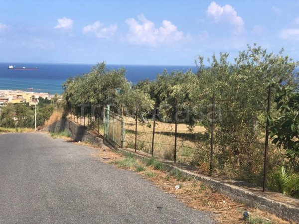 terreno agricolo in vendita a Spadafora
