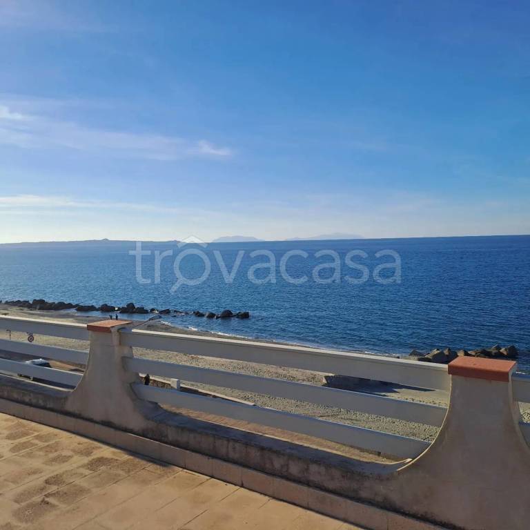 immagine annuncio 0 di 15