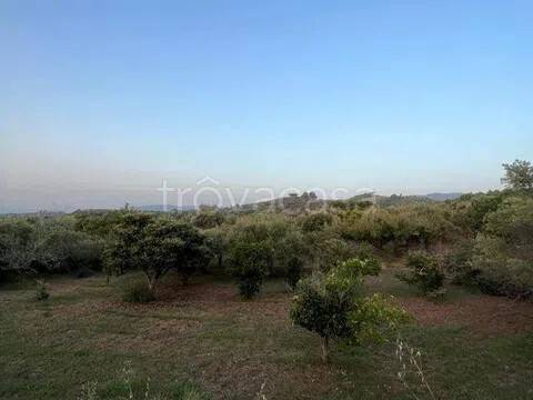 terreno agricolo in vendita a Spadafora