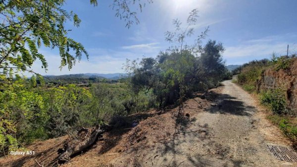 terreno agricolo in vendita a Spadafora in zona San Martino