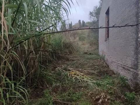 terreno agricolo in vendita a Spadafora