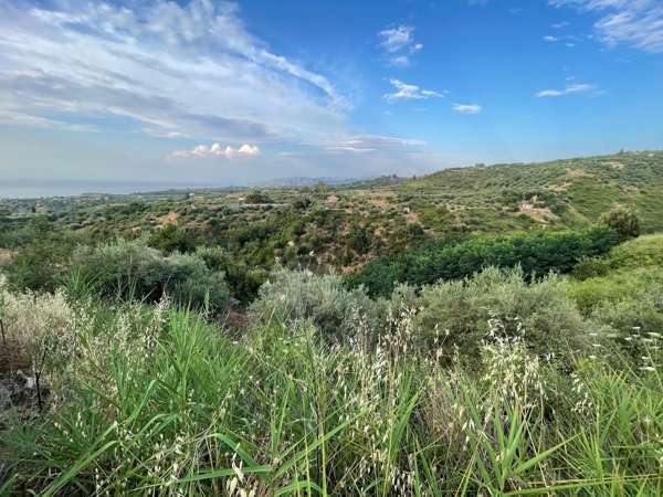 terreno agricolo in vendita a Spadafora in zona San Martino
