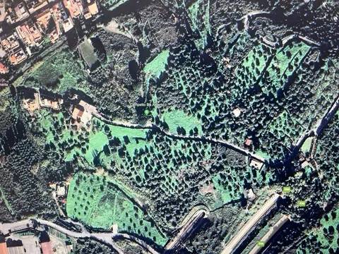 terreno agricolo in vendita a Spadafora