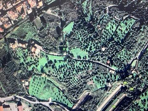 terreno agricolo in vendita a Spadafora