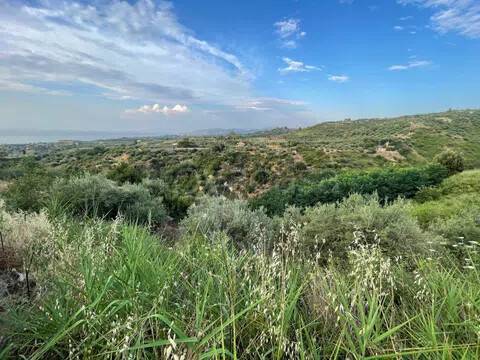 terreno agricolo in vendita a Spadafora in zona San Martino