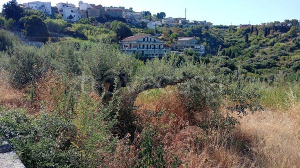 terreno agricolo in vendita a Spadafora in zona San Martino