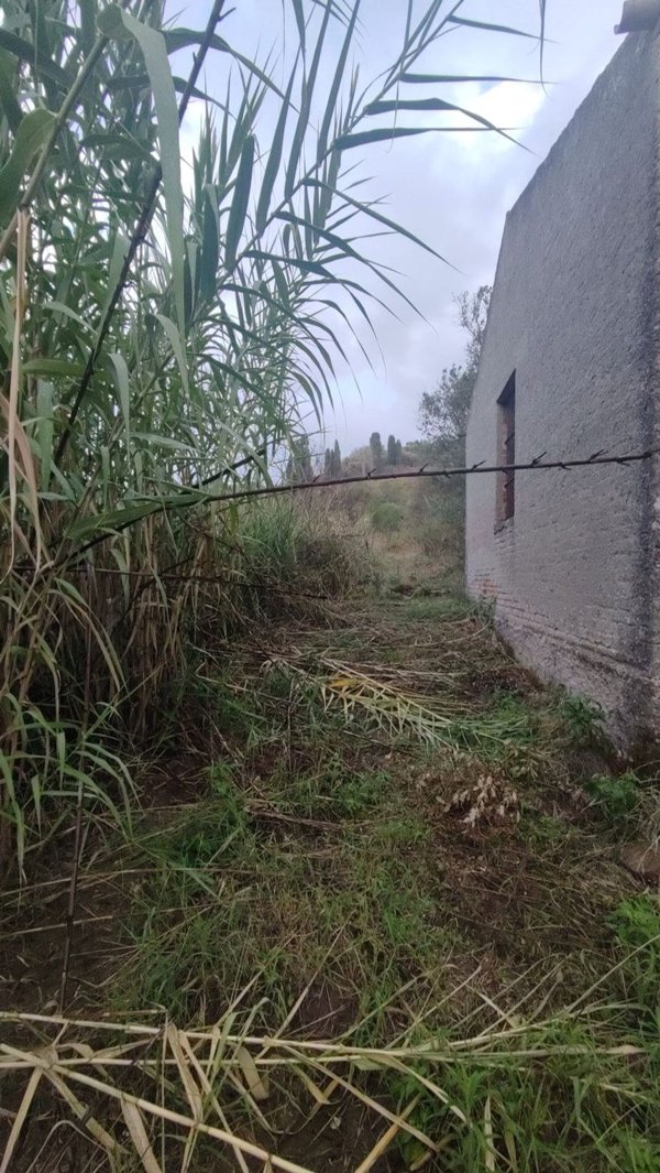terreno agricolo in vendita a Spadafora in zona Grangiara