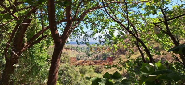 terreno agricolo in vendita a Taormina