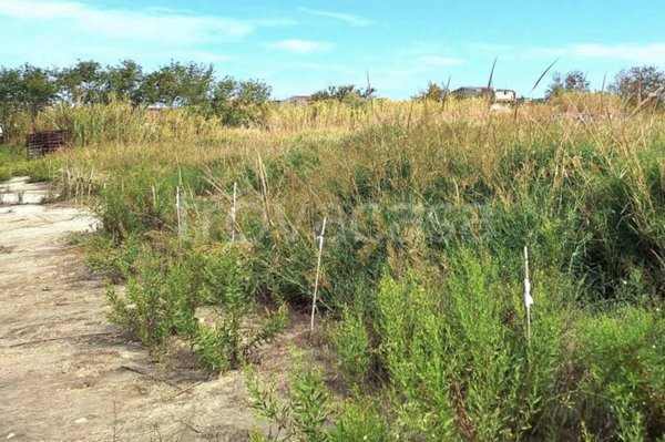 terreno agricolo in vendita a Torregrotta