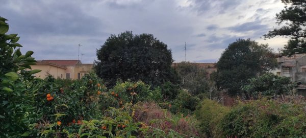 pentavano in vendita a Torregrotta