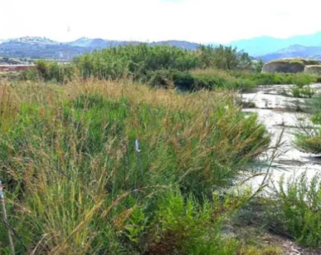 terreno agricolo in vendita a Torregrotta