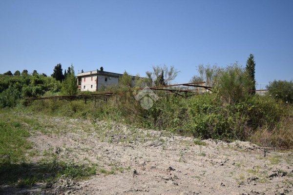 capannone in vendita a Torregrotta