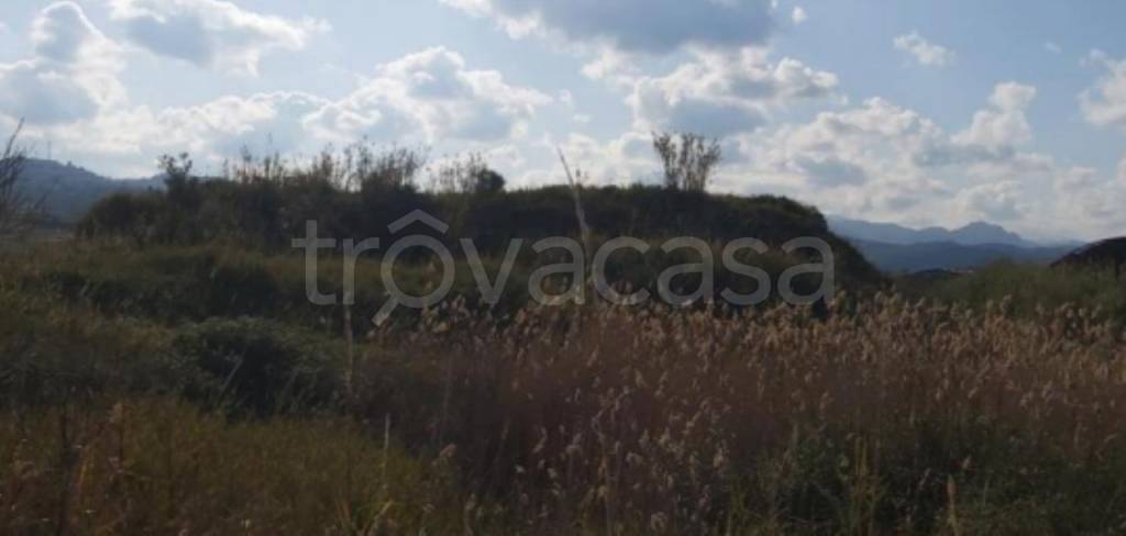 terreno agricolo in vendita a Torregrotta