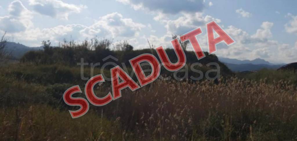 terreno agricolo in vendita a Torregrotta