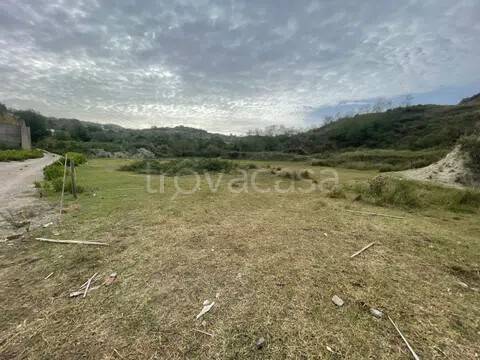 terreno agricolo in vendita a Torregrotta
