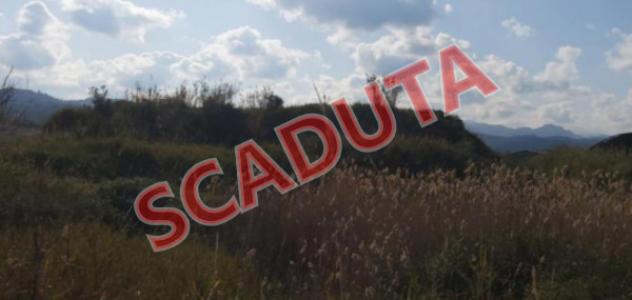 terreno agricolo in vendita a Torregrotta