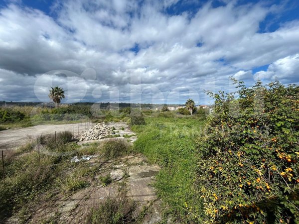 terreno agricolo in vendita a Torregrotta
