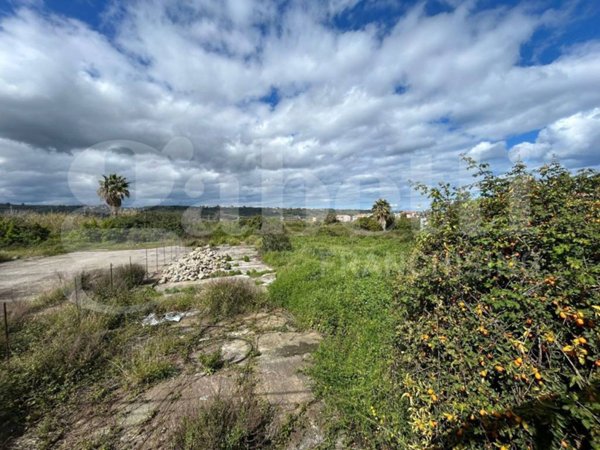 terreno agricolo in vendita a Torregrotta