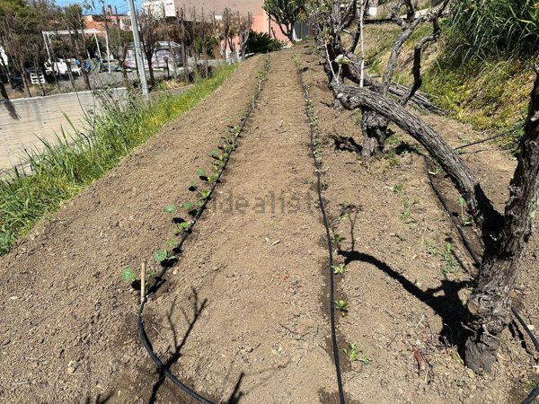 appartamento in vendita a Torregrotta