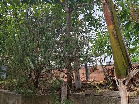appartamento in vendita a Torregrotta