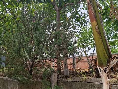 appartamento in vendita a Torregrotta