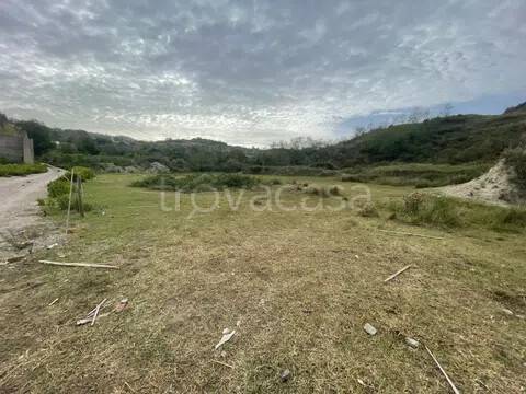 terreno agricolo in vendita a Torregrotta