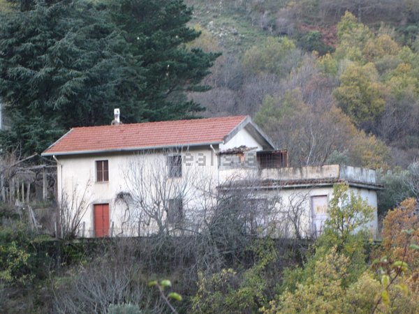 esavano in vendita a Tortorici