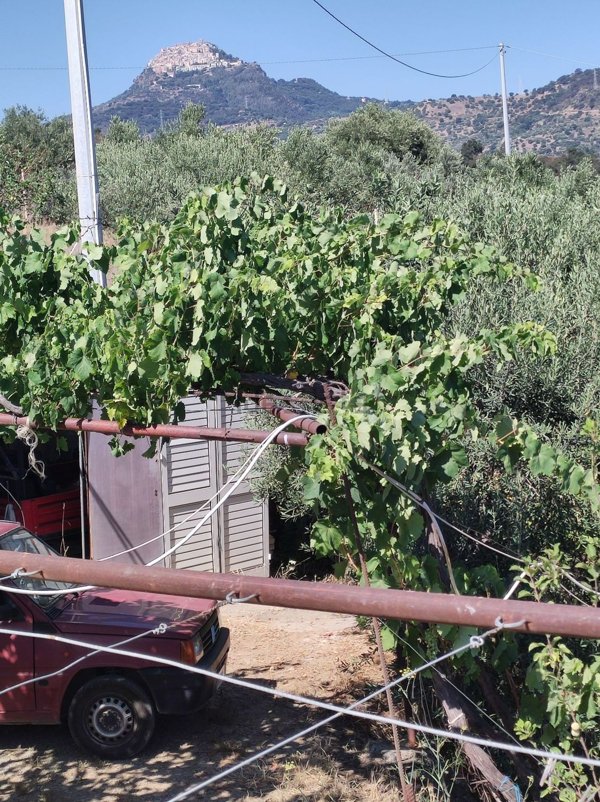casa indipendente in vendita a Tusa in zona Castel di Tusa
