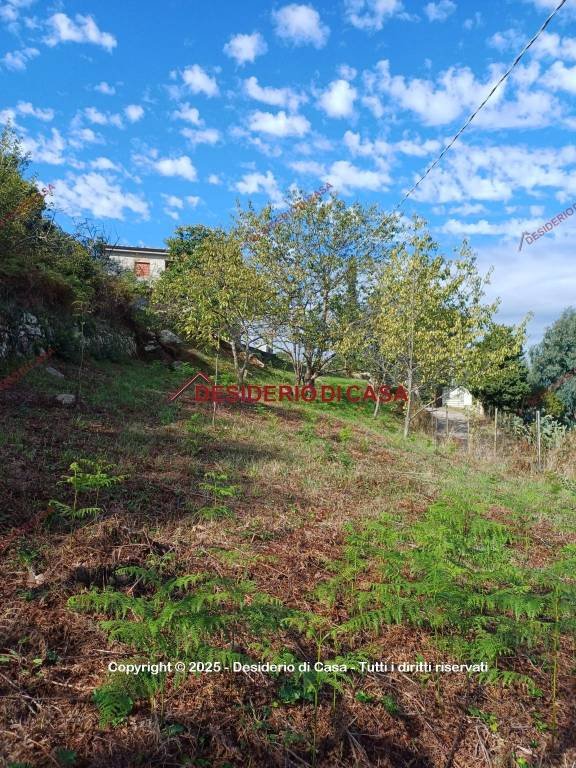 casa indipendente in vendita a Tusa