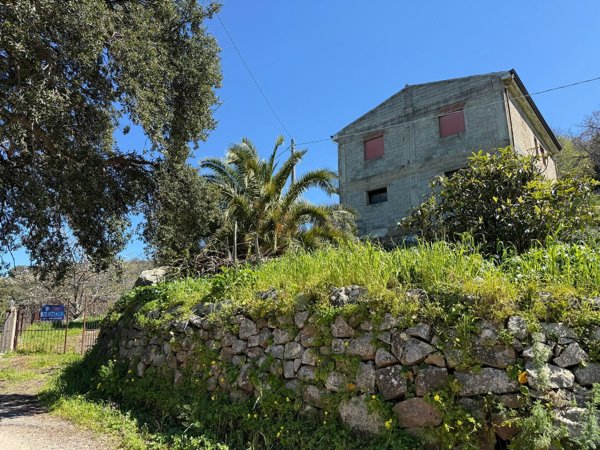 esavano in vendita a Tusa