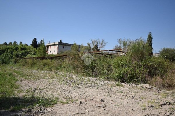 capannone in vendita a Valdina
