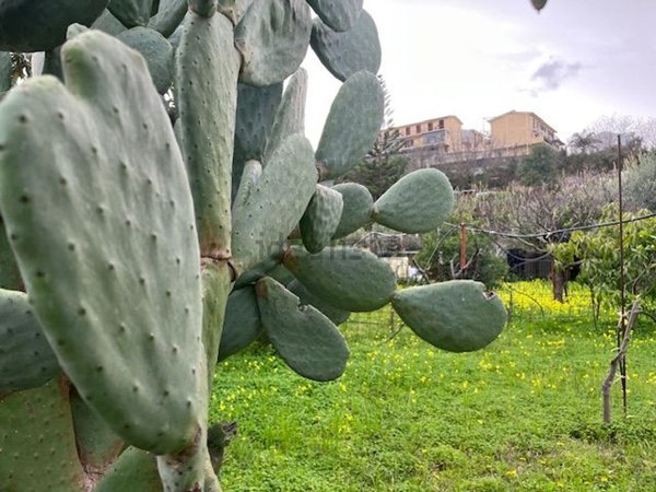 villa in vendita a Venetico