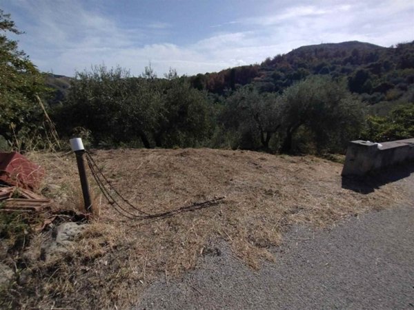 terreno agricolo in vendita a Villafranca Tirrena in zona Calvaruso