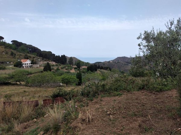 terreno agricolo in vendita a Villafranca Tirrena