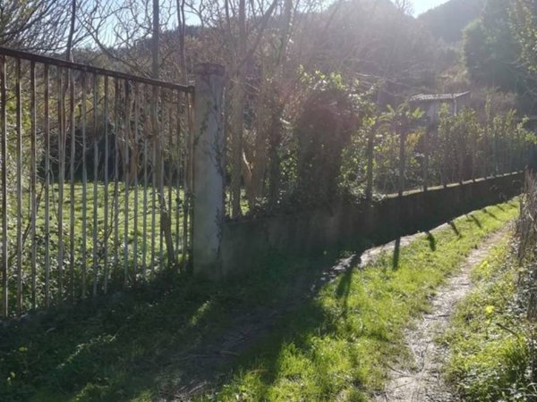 terreno agricolo in vendita a Villafranca Tirrena