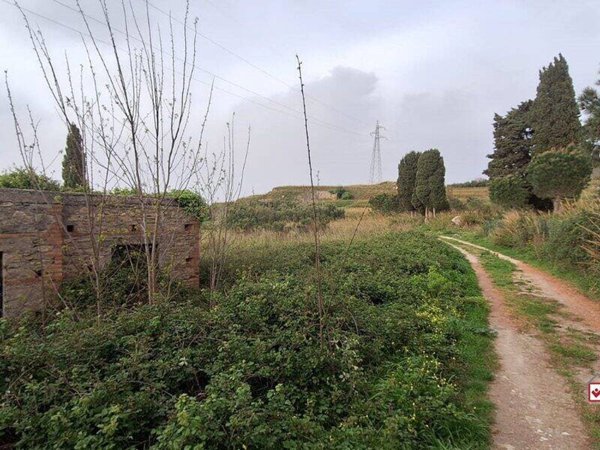 terreno agricolo in vendita a Villafranca Tirrena