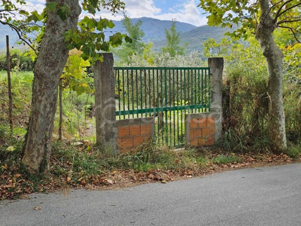 terreno agricolo in vendita a Villafranca Tirrena in zona Serro